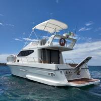 Della Pasqua Dc 10 s aifo 330 hp NATANTE