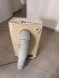 Pinguino climatizzatore