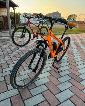 Bici lombardo