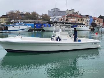 Barca da pesca Strike 29 OPEN (2006)