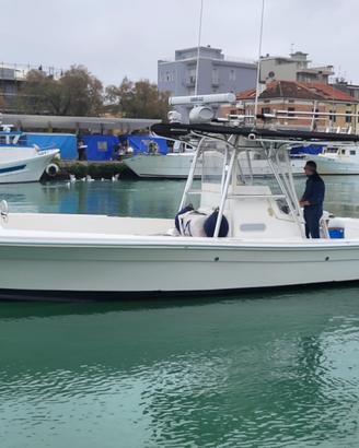 Barca da pesca Strike 29 OPEN (2006)