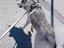 Immagine 2