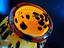 Immagine 5