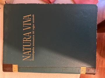 Libro Vintage "Natura Viva - Enciclopedia