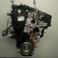 Motore kuga - 2008 - 2.0 d - ufda