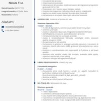 Consulente aziendale