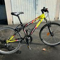 MTB ragazzo Torpado Viper 24