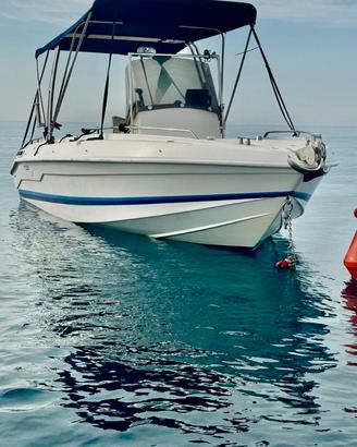 Airon marine paolo molinari 22 fish
