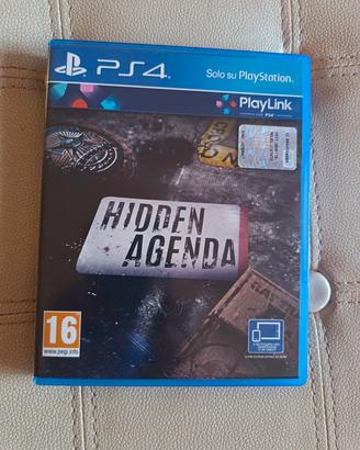videogioco