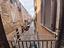 Immagine 5