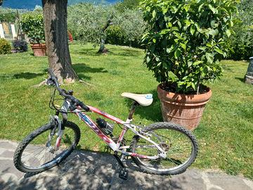 Mountain bike Smp 24