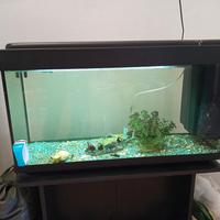acquario di 80 litri con mobiletto 