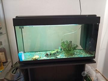 acquario di 80 litri con mobiletto 