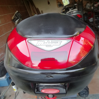 Ricambi Malaguti ciak 50 scarabeo anno 2005