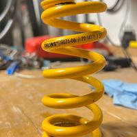 Molla Ohlins