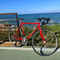 Bici vintage da corsa LeeCougan
