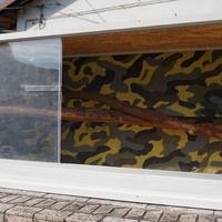 Terrario artigianale in legno