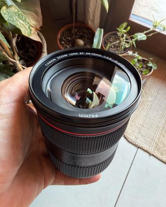 Canon EF 24-70 2.8 L