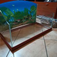 Tartarughiera Acquario