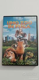 uno zoo in fuga DVD 