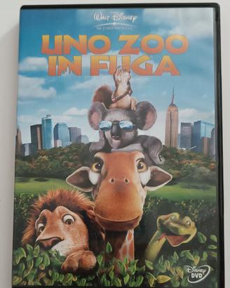 uno zoo in fuga DVD 