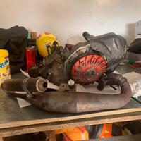 Marmitta vespa e ape