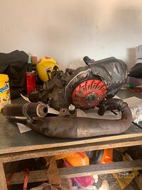 Marmitta vespa e ape