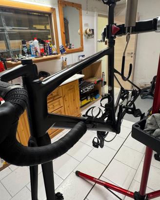BMC Teammachine SLR 01 MOD 2024 Frameset
