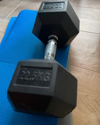 Dumbell 22,5 kg
