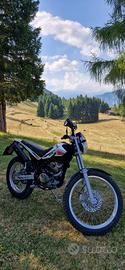 Beta Alp 200