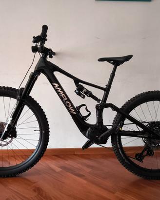 Amflow PX Carbon 2027 NUOVA – Avinox M2S 1500W