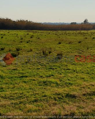 Pontecagnano Faiano- Terreno Agricolo