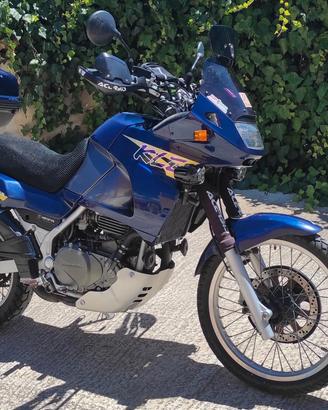 kle 500