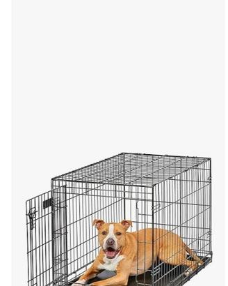 Gabbia metallica per cani