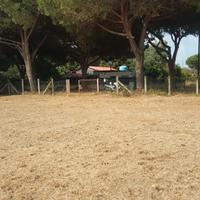 Terreno a 200m dal mare - Tarquinia loc. S. Giorgi