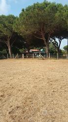 Terreno a 200m dal mare - Tarquinia loc. S. Giorgi
