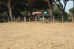 Terreno a 200m dal mare - Tarquinia loc. S. Giorgi