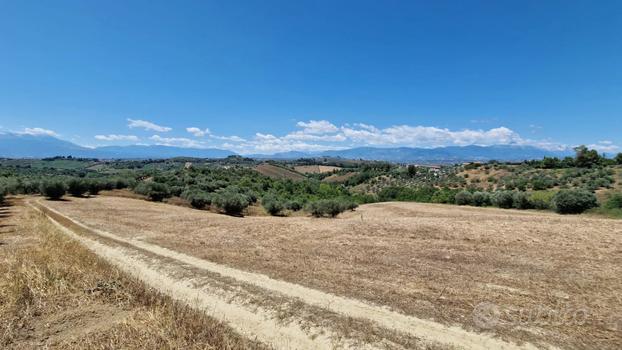 TERRENO AGRICOLO PER VILLA A SPOLTORE