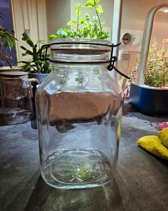 Contenitore in vetro Ikea Korken, 2L