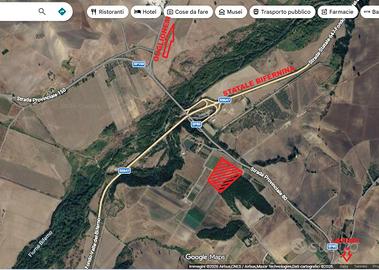 Vendita terreno irriguo contrada brecciara