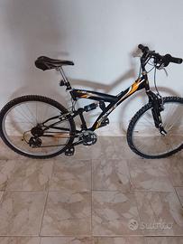 Bicicletta uomo