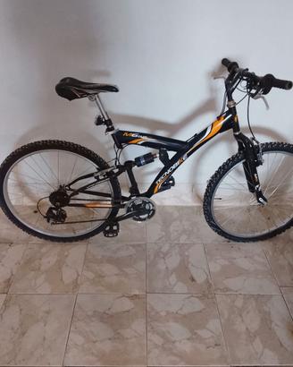 Bicicletta uomo