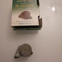 pietra di Blarney castello di Cork