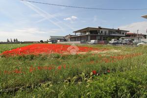 TER. AGRICOLO A CAZZAGO SAN MARTINO