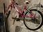 Immagine 2