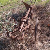 aratro antico per buoi 