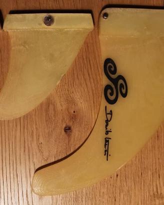 Pinne Windsurf Lanteri