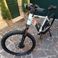 E-MTB a pedalata assistita