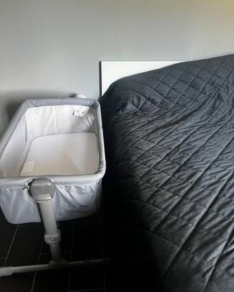 Chicco Culla Neonato Cosleeping Next2Me Essential