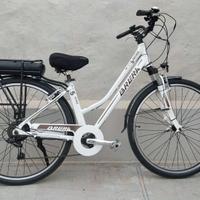 E bike da passeggio
